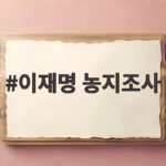 이재명 농지조사 전수조사 대상과 강제매각 기준 총정리 이재명 농지조사