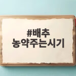 배추 농약주는시기