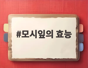 모시잎의 효능