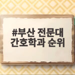 부산 전문대 간호학과 순위를 확인하는 현명한 방법 부산 전문대 간호학과 순위
