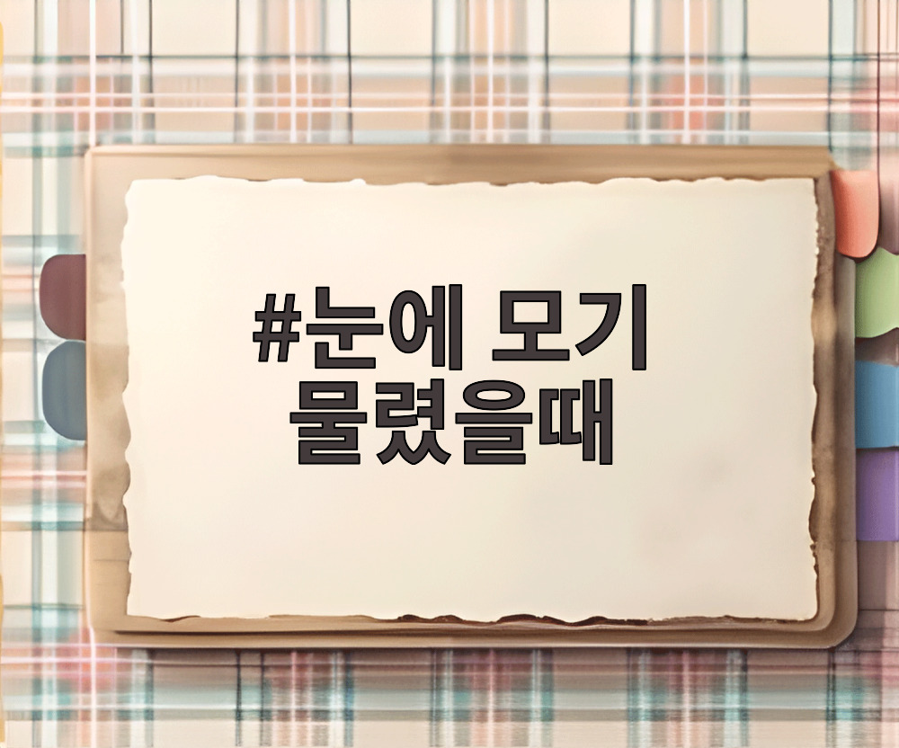 눈에 모기 물렸을때