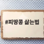 피땅콩 삶는법 생땅콩 삶는 시간과 보관법까지 한번에 피땅콩 삶는법