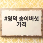 2026년 영덕 송이버섯 가격 등급별 시세와 구매 팁 영덕 송이버섯 가격