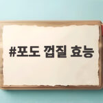 포도 껍질 효능 모르고 버리면 아까운 이유와 껍질째 먹는 방법 포도 껍질 효능