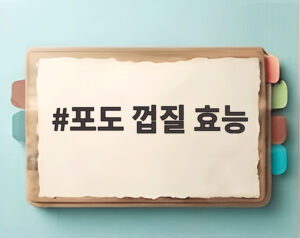 포도 껍질 효능