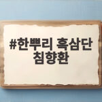 한뿌리 흑삼단 침향환 누적 200만 환 돌파 비결과 부모님 선물 추천 이유 한뿌리 흑삼단 침향환