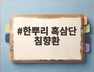 한뿌리 흑삼단 침향환