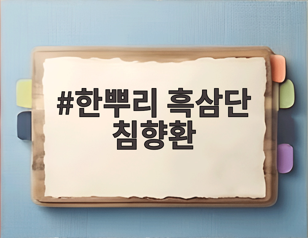 한뿌리 흑삼단 침향환
