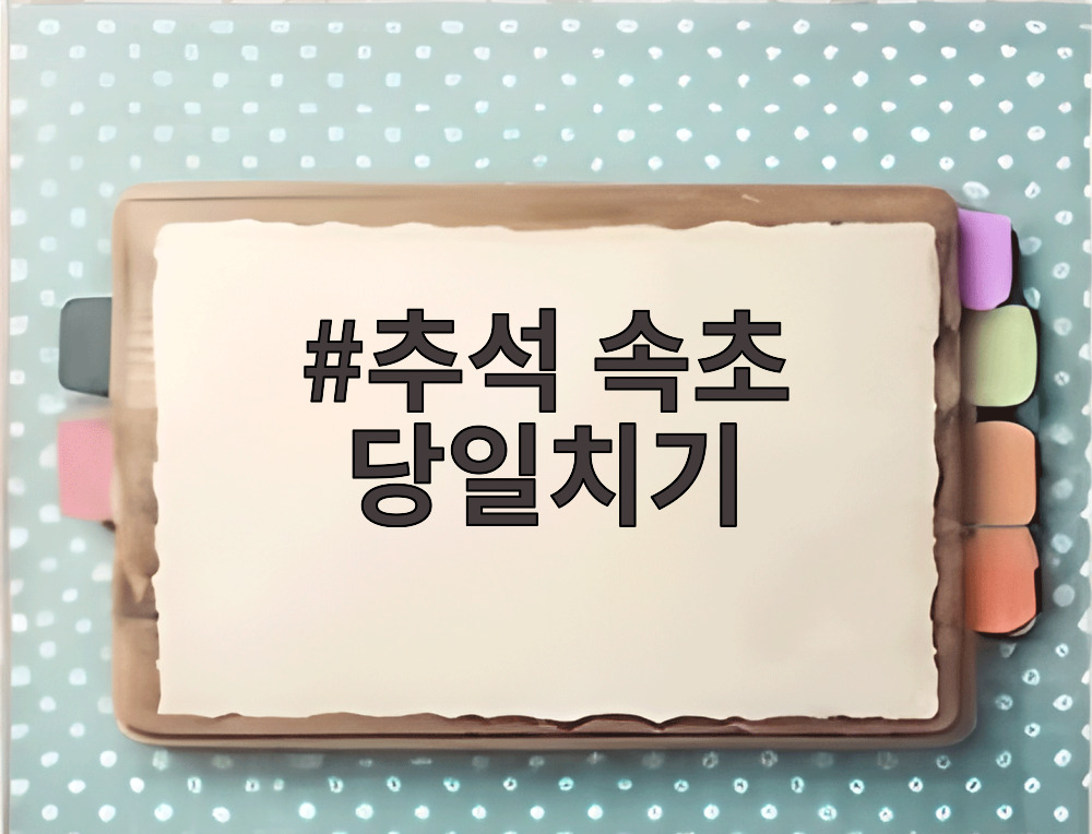 추석 속초 당일치기
