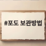 포도 보관방법