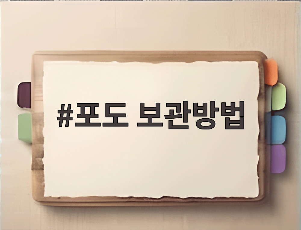 포도 보관방법