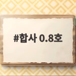 합사 0.8호 갑오징어 쭈꾸미 첫 출조 이 정도면 충분합니다 합사 0.8호