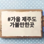 가을 제주도 가볼만한곳 BEST 5 선선한 바람과 은빛 억새를 만나는 완벽한 하루 가을 제주도 가볼만한곳