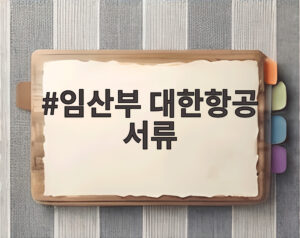 임산부 대한항공 서류