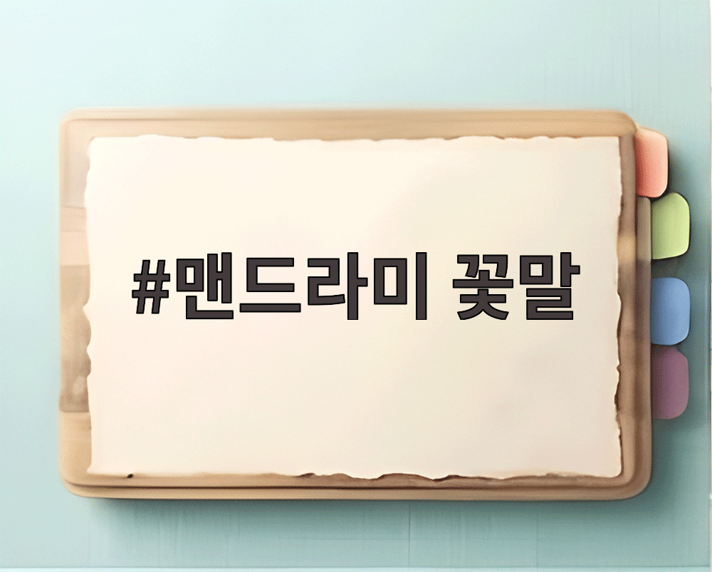 맨드라미 꽃말 열정과 시들지 않는 사랑을 상징하는 붉은 맨드라미 꽃