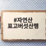 자연산 표고버섯산행 가을 산에서 만나는 향긋한 보물 자연산 표고버섯산행