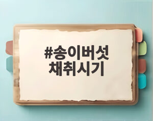 송이버섯 채취시기
