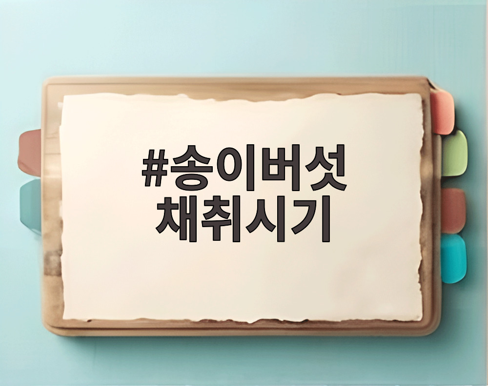 송이버섯 채취시기