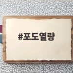 포도열량 1송이 칼로리 알고 먹으면 다이어트가 쉬워져요 포도열량