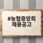 농협중앙회 채용공고 2026 하반기 지원 전 확인할 일정과 준비 농협중앙회 채용공고