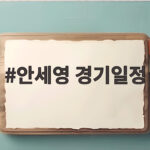 안세영 경기일정 28일 준결승 천위페이와 맞대결로 2연패 도전 안세영 경기일정