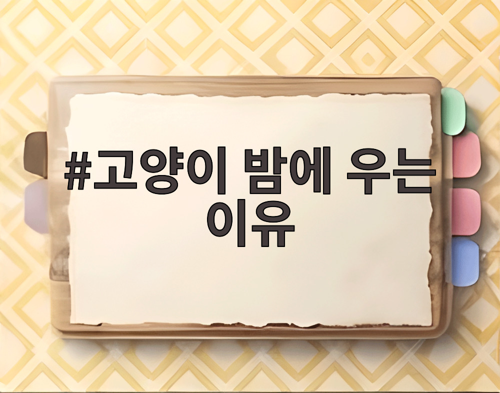 고양이 밤에 우는 이유
