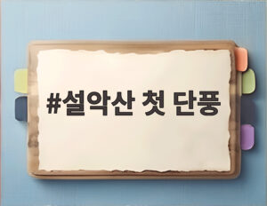 설악산 첫 단풍
