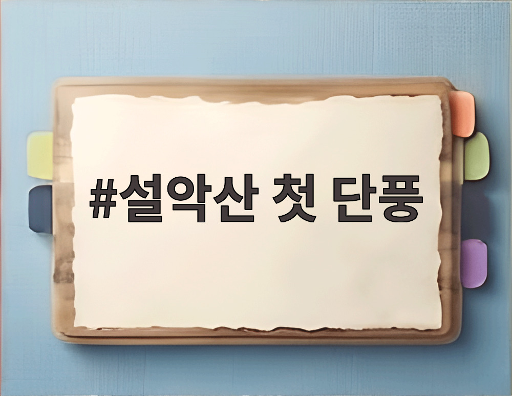 설악산 첫 단풍