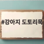 강아지 도토리묵 주의사항 가을 산책길 안전한 대처법 강아지 도토리묵