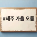 제주 가을 오름 여행 준비하며 찾은 억새 명소와 사진 일정 추천 팁 제주 가을 오름