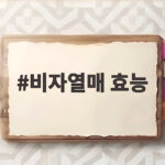 비자열매 효능