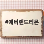 에버랜드티몬으로 반값에 즐기는 확실한 방법 에버랜드티몬