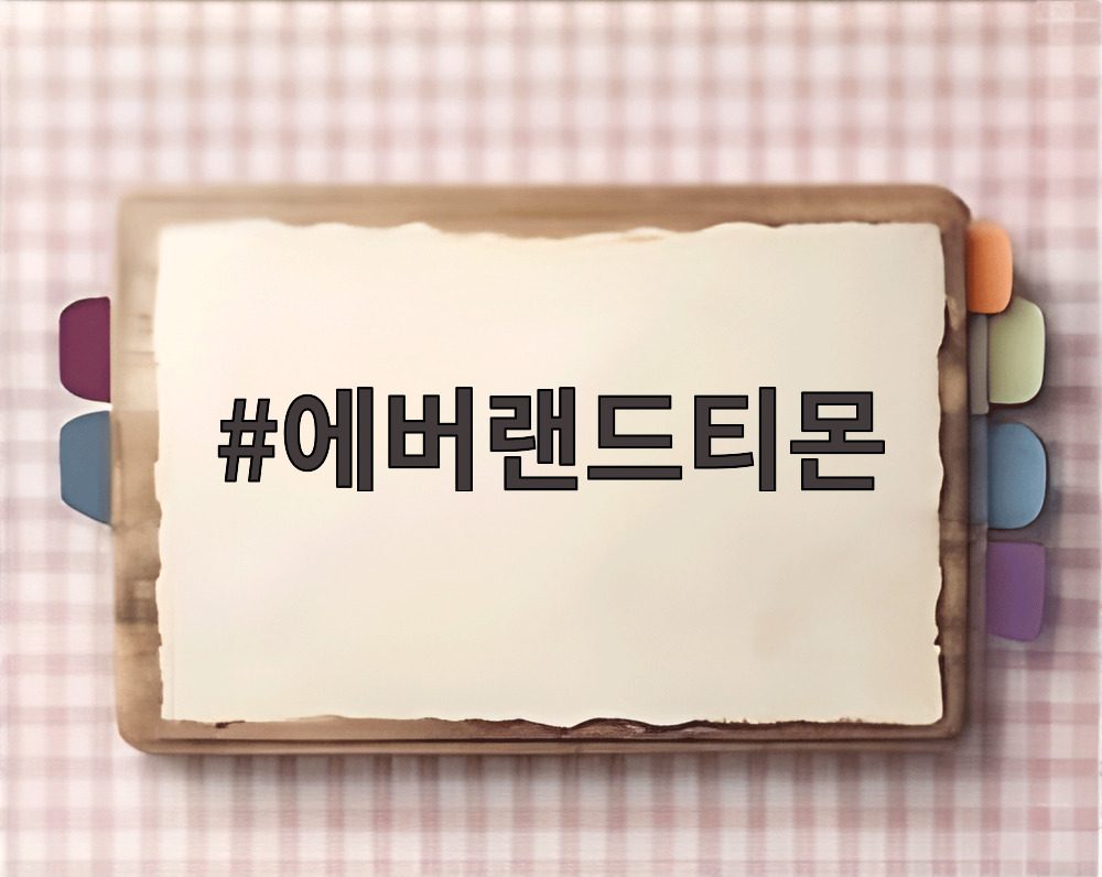 에버랜드티몬