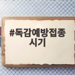2026 독감예방접종 시기 어린이부터 어르신까지 한눈에 보기 독감예방접종 시기
