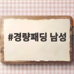 경량패딩 남성 2026 겨울 준비 핏과 가격 비교해 보세요 경량패딩 남성