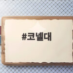 코넬대 집단 성폭행 사건 재수사 한국인 연루 논란 총정리 코넬대