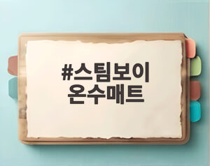 스팀보이 온수매트