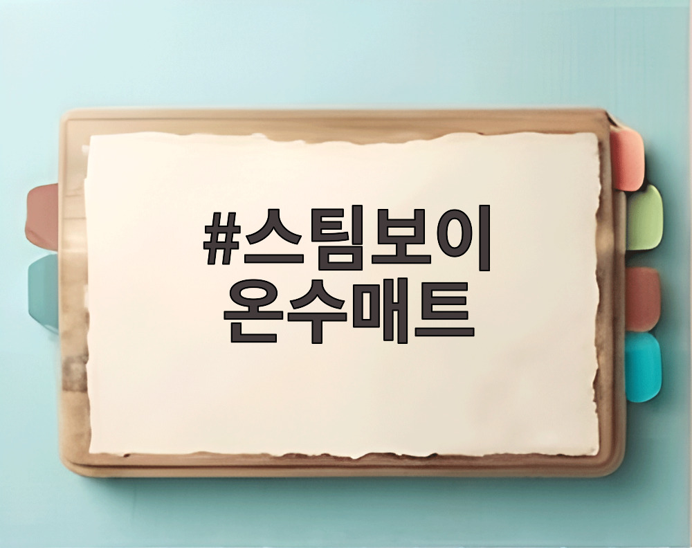 스팀보이 온수매트