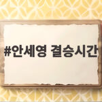 안세영 결승시간 이렇게 확인하고 오늘 경기 응원하세요 안세영 결승시간