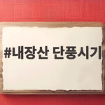 内藏山枫叶季 언제가 좋을까 2026 절정 시기와 가볼 만한 곳 내장산 단풍시기