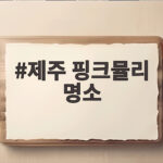 제주 핑크뮬리 명소 10월에 꼭 가봐야 할 분홍빛 여행지 제주 핑크뮬리 명소