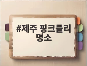 제주 핑크뮬리 명소
