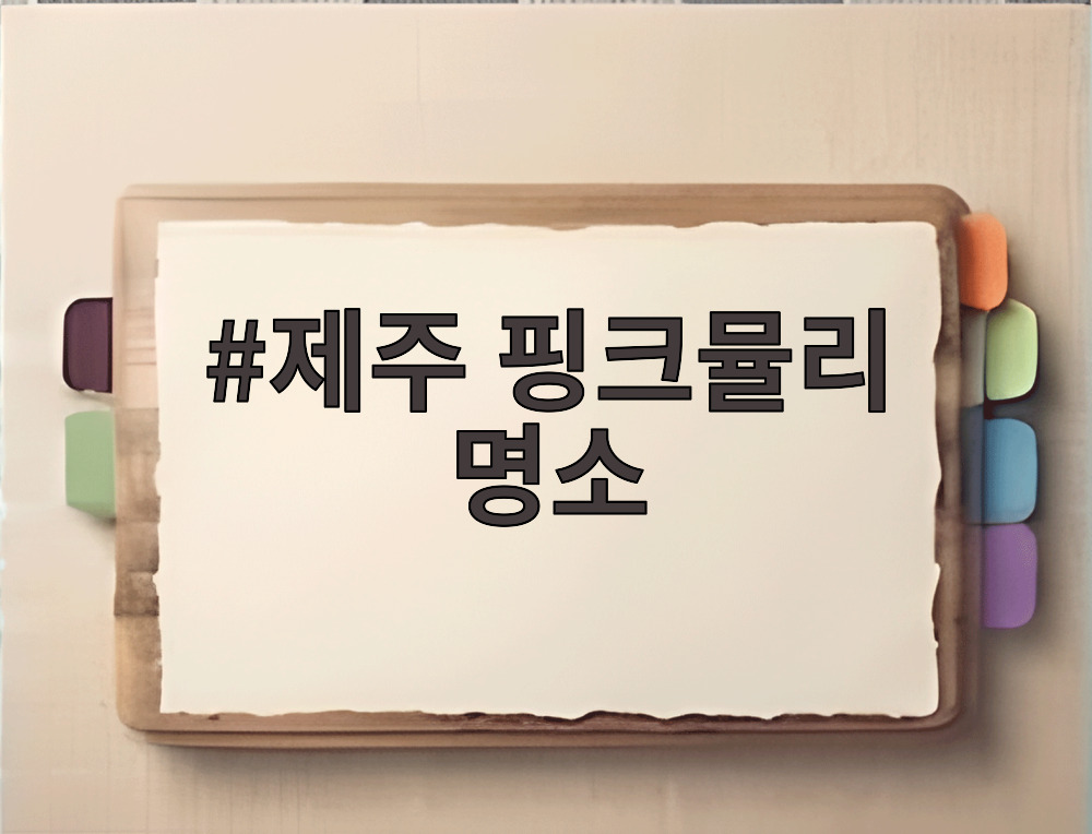 제주 핑크뮬리 명소