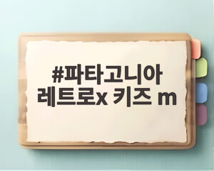 파타고니아 레트로x 키즈 m