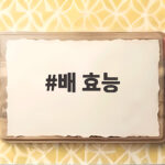 배 효능 제대로 알고 먹으면 가을 건강이 달라져요 배 효능