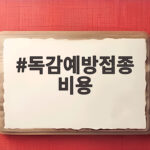 독감예방접종 비용 절약하고 일정 확인하는 법 독감예방접종 비용