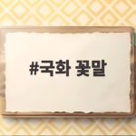 국화 꽃말 색깔별 의미와 선물 고르기 정리까지 국화 꽃말