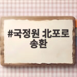 국정원 北포로 송환
