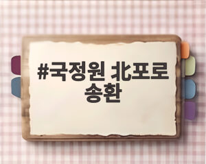 국정원 北포로 송환