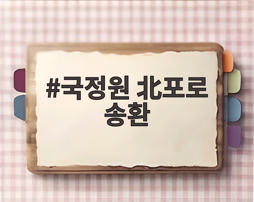 국정원 北포로 송환